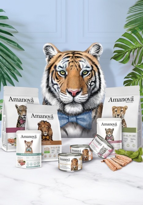 Amanova Kot Tuna & Seaweed w galaretce puszka 70g Amanova Kot Tuna & Seaweed w galaretce puszka 70g