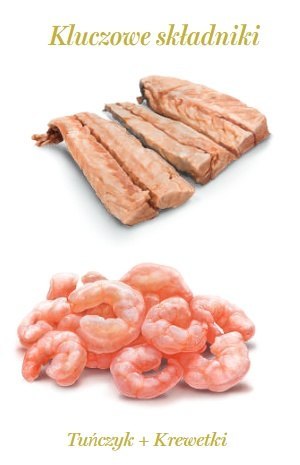 Amanova Kot Tuna & Shrimps w bulionie puszka 70g Amanova Kot Tuna & Shrimps w bulionie puszka 70g