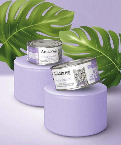 Amanova Kot Tuna & Shrimps w galaretce puszka 70g Amanova Kot Tuna & Shrimps w galaretce puszka 70g