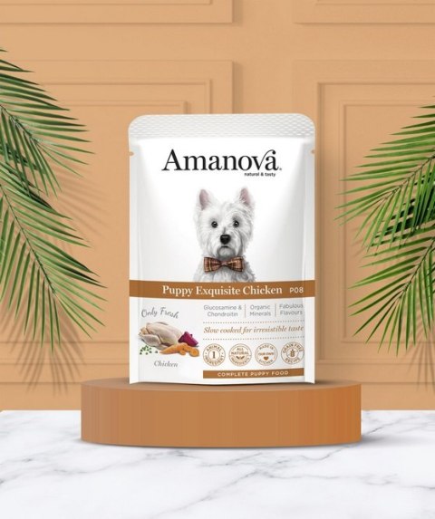 Amanova Puppy Exquisite Chicken saszetka 100g Amanova Puppy Exquisite Chicken saszetka 100g
