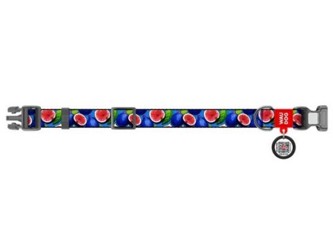 Collar WauDog Nylon Obroża nylonowa z QR-paszportem, plastikowy fastex, wzór FIGA, M 20mm/28-40cm