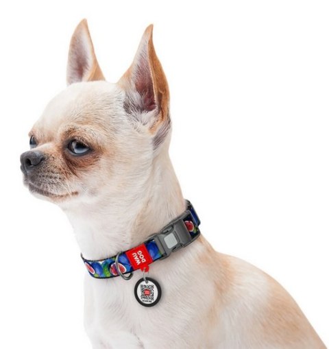 Collar WauDog Nylon Obroża nylonowa z QR-paszportem, plastikowy fastex, wzór FIGA, M 20mm/28-40cm