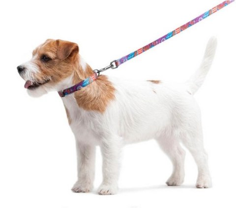 Collar WauDog Nylon Obroża nylonowa z QR-paszportem, plastikowy fastex, wzór LATO, 25mm/33-49cm Collar WauDog Nylon Obroża nylonowa z QR-paszportem, plastikowy fastex, wzór LATO, 25mm/33-49cm
