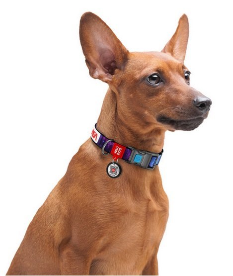 Collar WauDog Nylon Obroża nylonowa z QR-paszportem, plastikowy fastex, wzór NASA, 25mm/37-58cm Collar WauDog Nylon Obroża nylonowa z QR-paszportem, plastikowy fastex, wzór NASA, 25mm/37-58cm