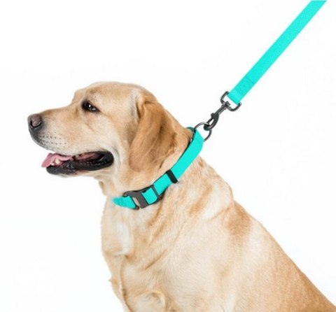 Collar WauDog Waterproof Obroża wodoodporna z QR-paszportem, akumulująca światło, plastikowy fastex, 25mm/34-49cm Collar WauDog Waterproof Obroża wodoodporna z QR-paszportem, akumulująca światło, plastikowy fastex, 25mm/34-49cm