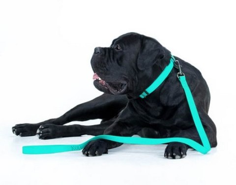 Collar WauDog Waterproof Obroża wodoodporna z QR-paszportem, akumulująca światło, plastikowy fastex, 25mm/34-49cm Collar WauDog Waterproof Obroża wodoodporna z QR-paszportem, akumulująca światło, plastikowy fastex, 25mm/34-49cm