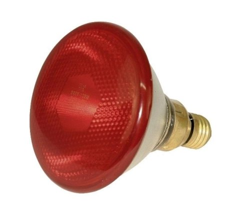 KERBL Żarówka Promiennika 100W Czerwona KERBL Żarówka Promiennika 100W Czerwona