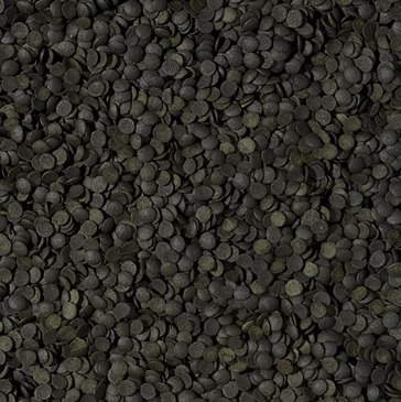 Tropical Super Spirulina Forte Chips 100ml Tropical Super Spirulina Forte Chips 100ml