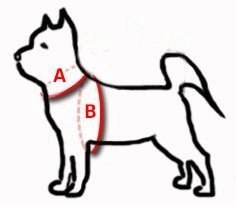 Dingo Reflex Szelki Odblaskowe Step-In Dla Psa Czarne Rozmiar 40 Dingo Reflex Szelki Odblaskowe Step-In Dla Psa Czarne Rozmiar 40