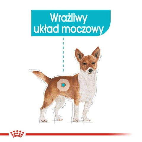 ROYAL CANIN CCN Urinary Care pasztet 12x85g ROYAL CANIN CCN Urinary Care pasztet 12x85g