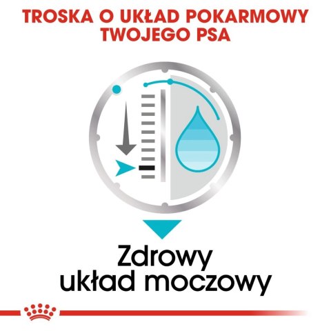 ROYAL CANIN CCN Urinary Care pasztet 12x85g ROYAL CANIN CCN Urinary Care pasztet 12x85g